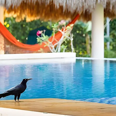 Modern & Fresh | Arroyito W/pool & Barbecue *
